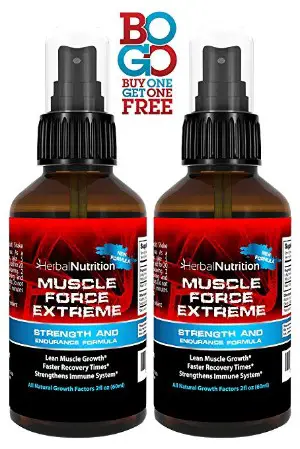 Muscle Force Extreme