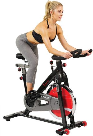 Sunny Health & Fitness Indoor Cycle Bike