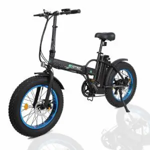 ECOTRIC Fat-Tire E-bike