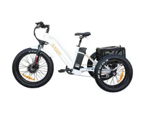 Kasen Electric Tricycle e-bike