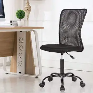 XXFbag Office Chair