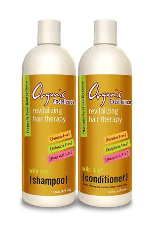 Organic Excellence Wild Mint Shampoo and Conditioner Set