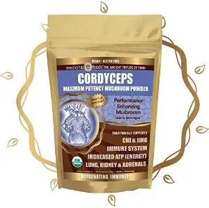 CORDYCEPS Full-Spectrum Mushroom Superfood Powder