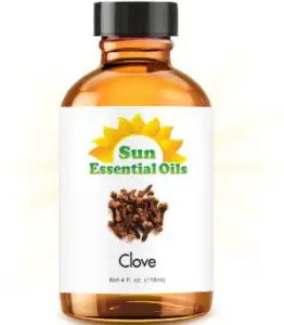 Sun Essential Oils Clove Essential Oil