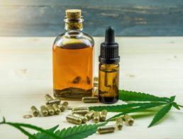 CBD for Weight Loss