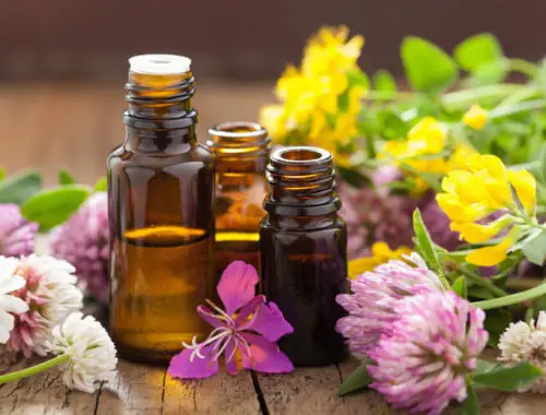 The Best Essential Oils