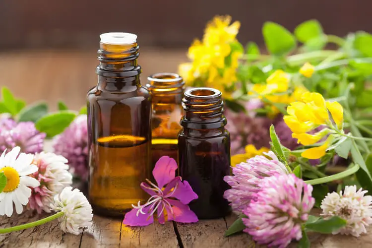 The Best Essential Oils