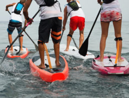 The Best Stand Up Paddleboards