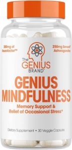 Genius Brand Genius Mindfulness