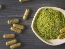 The Best Kratom Vendors