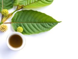 The Best Kratom for Energy