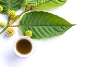 The Best Kratom for Energy