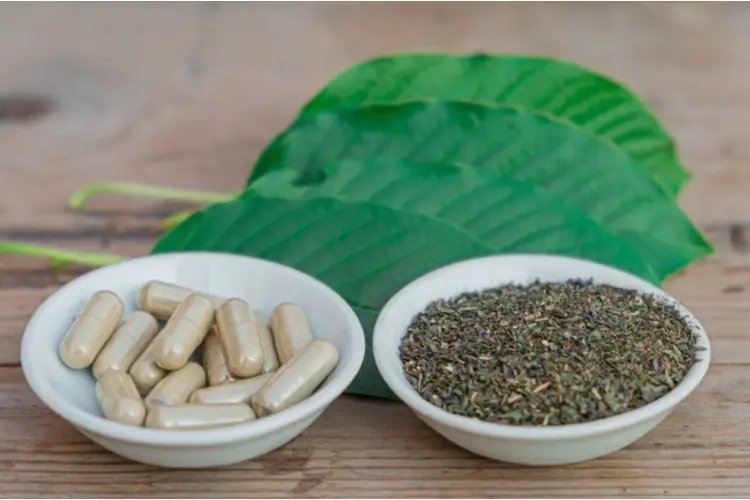 Which Kratom Is Best For Pain The Best Kratom for Pain - Healing Daily
