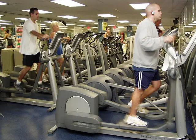 People working out in the gym on elliptical machines.