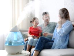 Tips to Correctly Humidify Your House