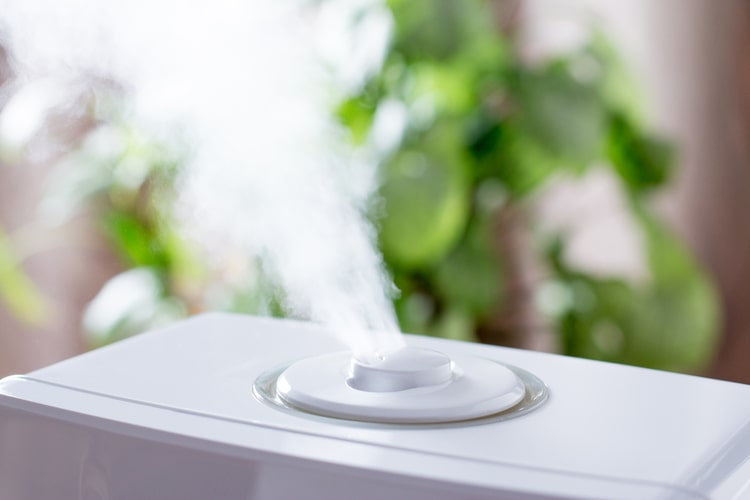 The Best WholeHouse Humidifiers, According to a Health Expert